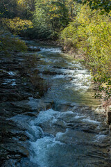 casentino national park autumn colors arezzo tuscany