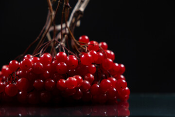 A bunch of ripe viburnum berries on a black background close-up