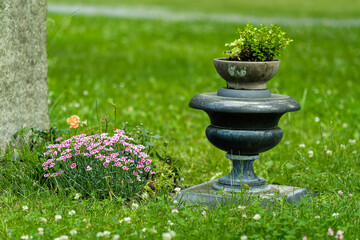 Blühende Nelken neben einer antikisierenden Steinvase auf einem Berliner Friedhof