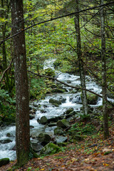 casentino national park autumn colors arezzo tuscany