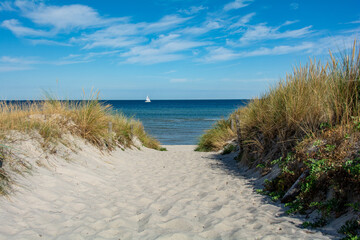 Fototapeta na wymiar Path between the sand dunes overlooking the sea and a ship