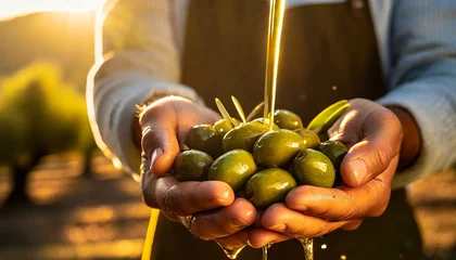Foto auf Leinwand Close-up of two wrinkled hands (cupped hands full of fresh olives) of a farmer showing harvesting green olives bathed in a flowing, liquid olive oil. © Alberto Masnovo