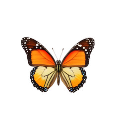 Obraz premium Exquisite butterfly captured in high detail, perfect for educational use, nature-inspired graphic designs, and digital overlays with its transparent background