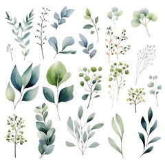 Fototapeta premium The set of watercolor flowers and leaves elements, illustrations, ai generatives