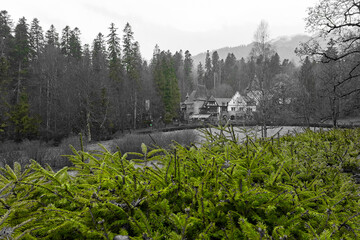 Peleș Castle in Transylvania .