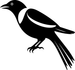magpie, bird vector