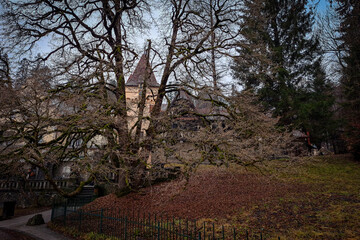 Peleș Castle in Transylvania .