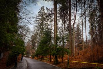 Peleș Castle in Transylvania .