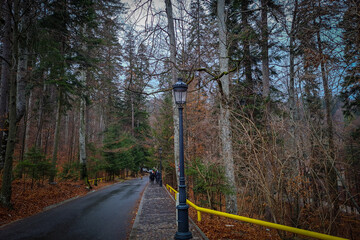 Peleș Castle in Transylvania .