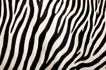 Keuken spatwand met foto black and white zebra skin close shot © Natalia