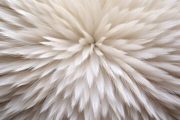 Fototapeta premium surface of a fluffy feather duster