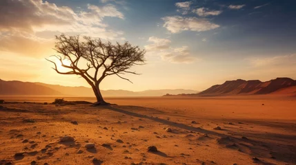 Fotobehang tree in the middle of the desert © Praphan
