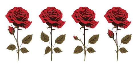 Set collection a red rose, Red rose vector Isolated on white background