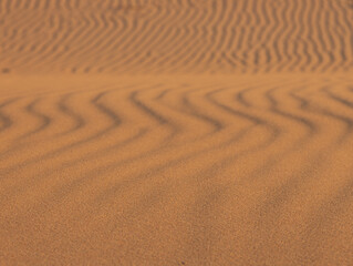 ripples and grooves of the desert dune sand