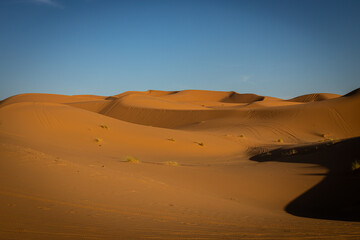 Fototapeta na wymiar Morocco desert dunes Erg Chebbi