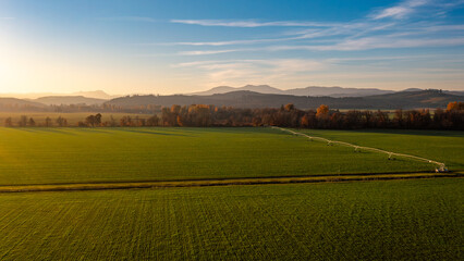 Sprawling Willlamette Valley Grass Seed Field in a Golden Sunset in Fall near Monmouth, Oregon,...