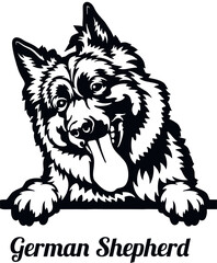 German Shepherd - Color Peeking Dogs - breed face head isolated on white