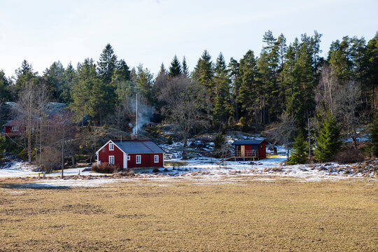 Cabins and forest in snow