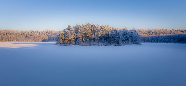 Forest and snow at sunset