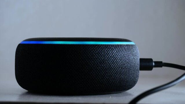 Home smart voice device close up 