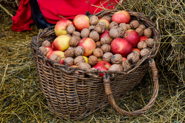 Wicker basket full of nuts and apples on natural straw background