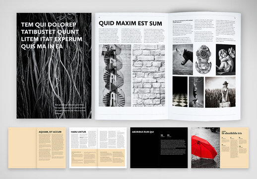 Simple and Fun Brochure