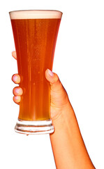 Glass with delicious lager foamy beer isolated on transparent background. Concept of alcohol,...