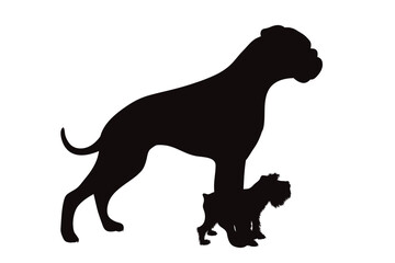 Vector silhouette of Rottweiler and Schnauzer on white background. Symbol of pet and dog.