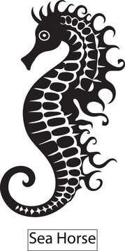 Sea horse silhouette isolated on white background