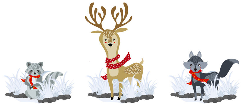 Christmas animals of raccoon, reindeer, and wolf with scarfs.