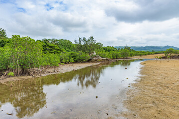 Nagura Anparu in Ishigaku Island, Okinawa Prefecture, Japan, Ramsar Wetland of International Importance