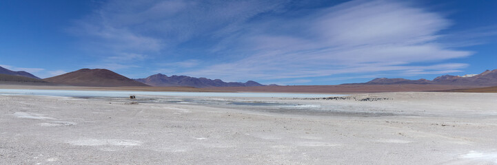 Fototapeta na wymiar Bolivia, AVAROA NATIONAL PARK, desert, wide frame.