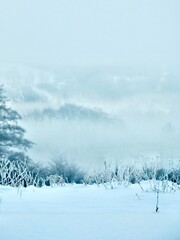 winter landscape, fog and snow in the background