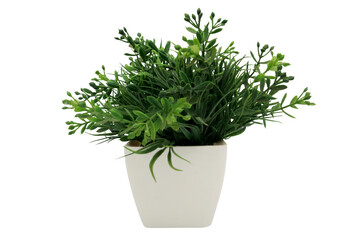 Artificial plant in white pot on transparent background png