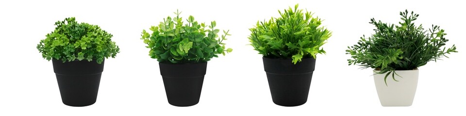 Set of artificial plants in flower pots on transparent background png