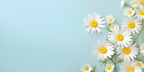 Daisy flowers on pastel background. Creative lifestyle, summer, spring concept. Copy Space. Generative AI