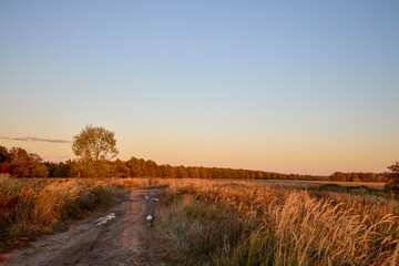 landscape with sunset over a field with wild grass. rural landscape.