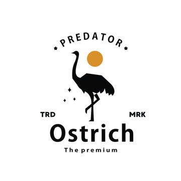 vintage retro hipster ostrich logo vector silhouette art icon
