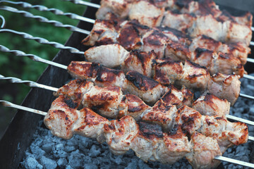 Lots of metal skewers with meat cooking on coals. Cooking pork barbecue.