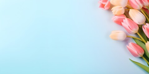 Fototapeta na wymiar tulip flowers on pastel background. Creative lifestyle, summer, spring concept. Copy Space. Generative AI