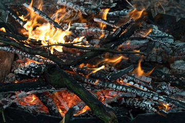 Closeup view of a flames of a fire	