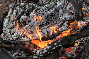 Closeup view of a flames of a fire	