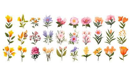 Obraz premium collection set plants flowers on white background