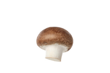 PNG, Whole fresh champignon, isolated on white background
