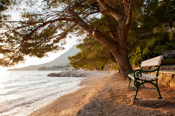 Coast at the adriatic sea,  beautiful place with sunset and calm waves, pine trees and lonely bench. Mental health concept