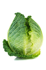 Savoy cabbage isolated on white