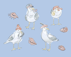 Vector watercolor seagull and seashell collection. Hand drawn flat sea birds with outline contour. Print design good for background, wrapping, textile, background, scrapbooking, stationary