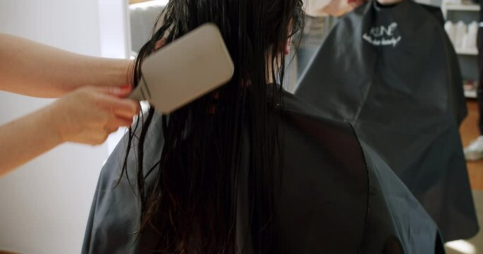 Female client sitting on chair with protective apron in front of mirror and hairdresser brushing her washed wet hair for styling at beauty salon. Brunette woman on haircare treatment procedure