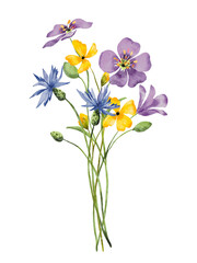 Wild flowers bouquet, watercolor floral illustration. Design for greetings. 