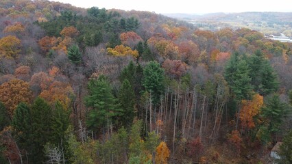 View of a beautiful autumn landscape in Eastern Vermont, featuring a vibrant forest on the hills